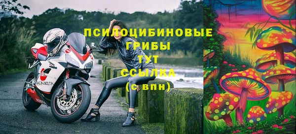 ешки Коряжма