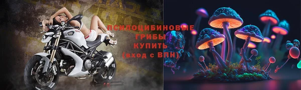 ECSTASY Костерёво