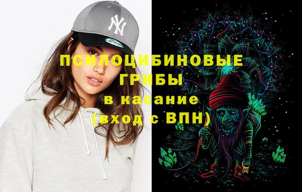 ECSTASY Костерёво