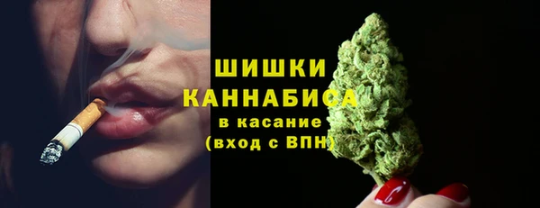 ECSTASY Костерёво