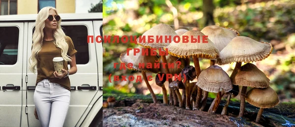 ешки Коряжма