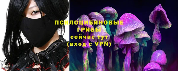ECSTASY Костерёво