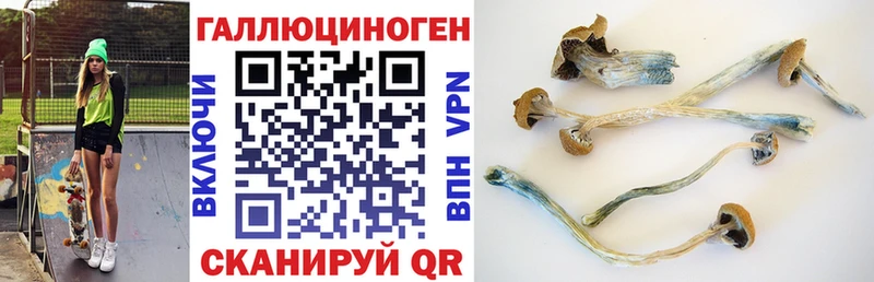 Галлюциногенные грибы Psilocybine cubensis  Купить  Бавлы 